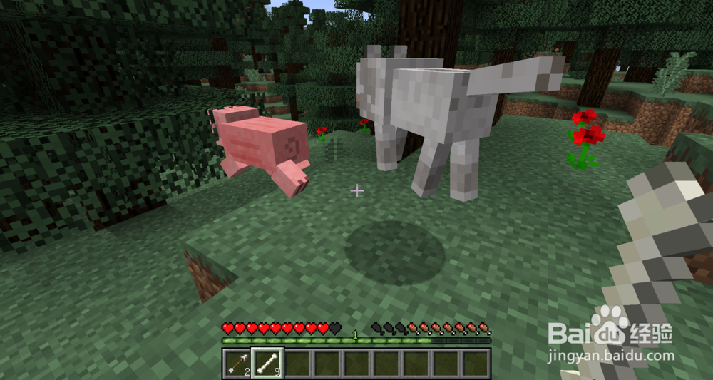 《我的世界生存手册》之我的动物朋友（狗）