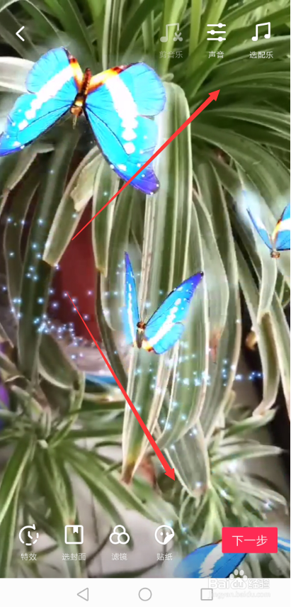抖音灵性蝴蝶特效怎么弄 好多飞舞蝴蝶特效在哪