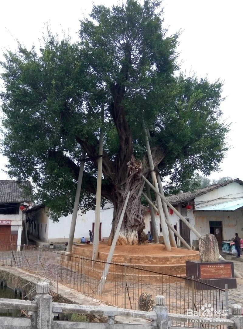 广东韶关三天小游