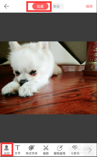如何用手机批量给图片视频添加水印