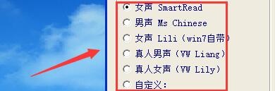 如何设置汉语大辞典中文语音库类型