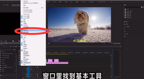 pr有什么使用技巧