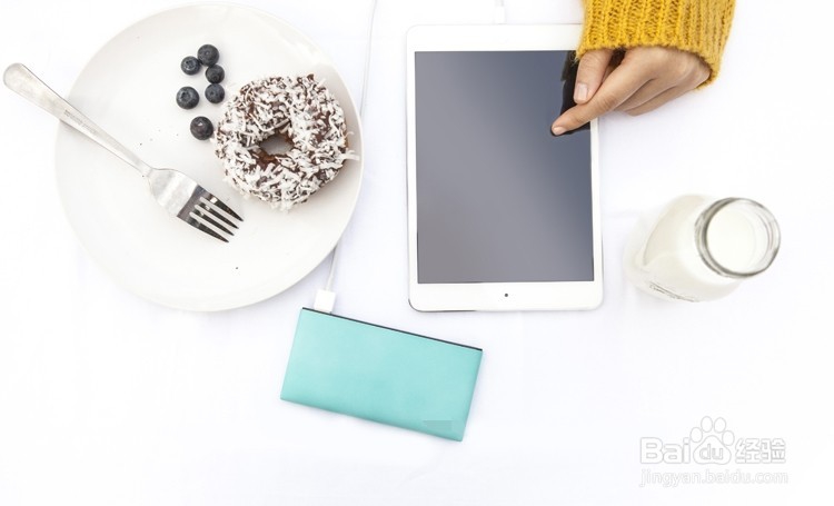 lepow乐泡 薄荷 聚合物移动电源 10000毫安