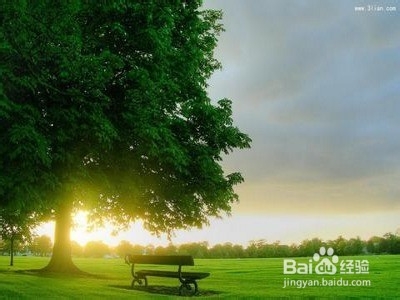 大四已保研同学如何规划好自己的大四生活？