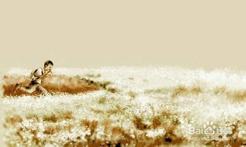 美国研究生套磁全攻略