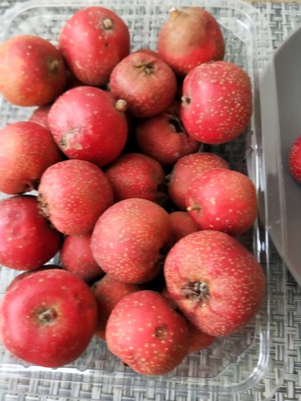 柚子山楂锅包肉