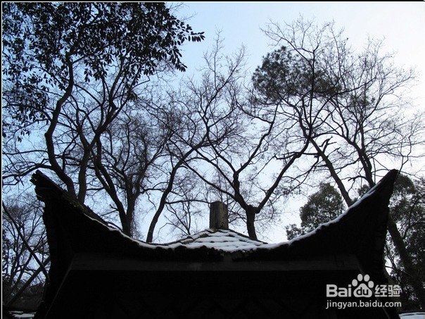 我们出发吧！骑行长沙