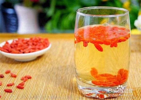 枸杞子的正确食用方法不得不知