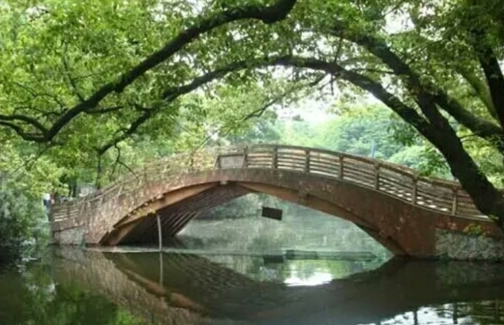 《中国石拱桥》与《桥之美》有什么不同