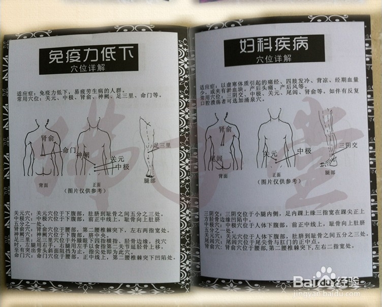 三伏贴的配方