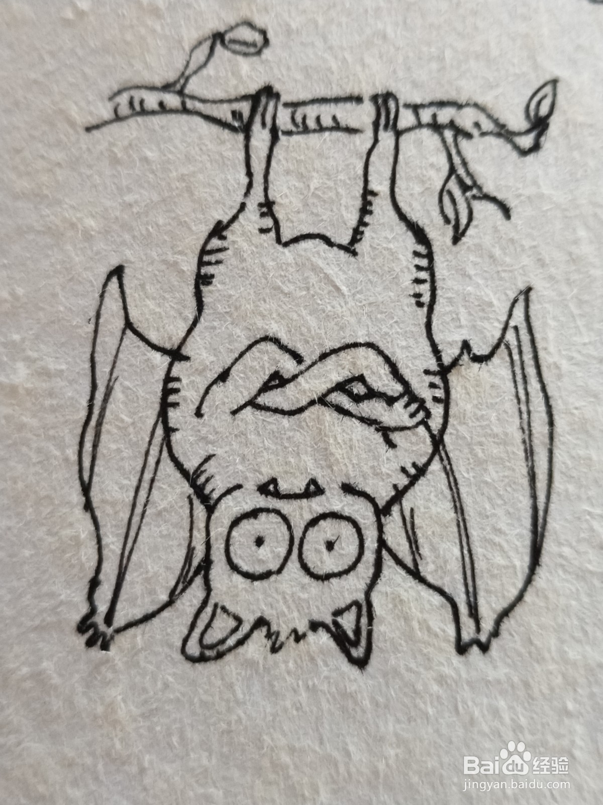 怎么画倒立的蝙蝠简笔画