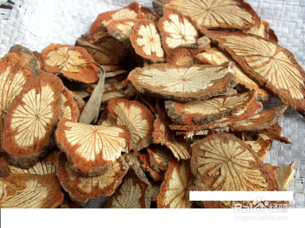 大血藤的功效与作用