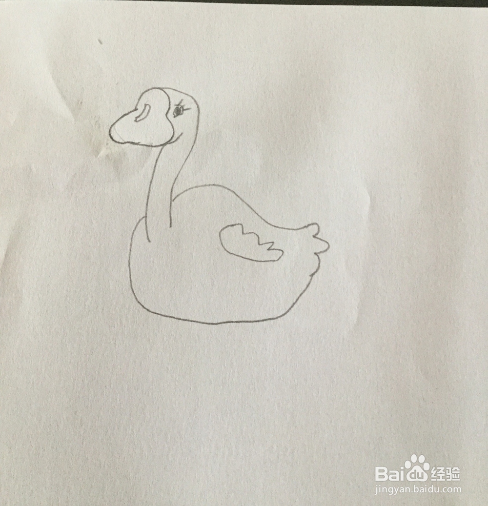 白天鹅简笔画教程