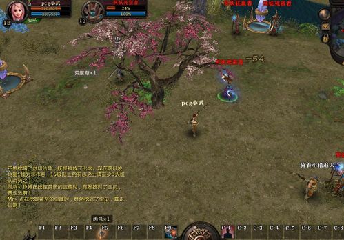 怎样做轩辕传奇黑木灵魂任务