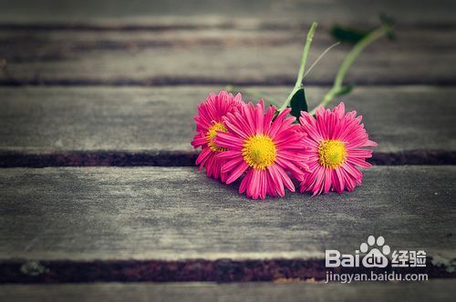 成就一生的50个好心态