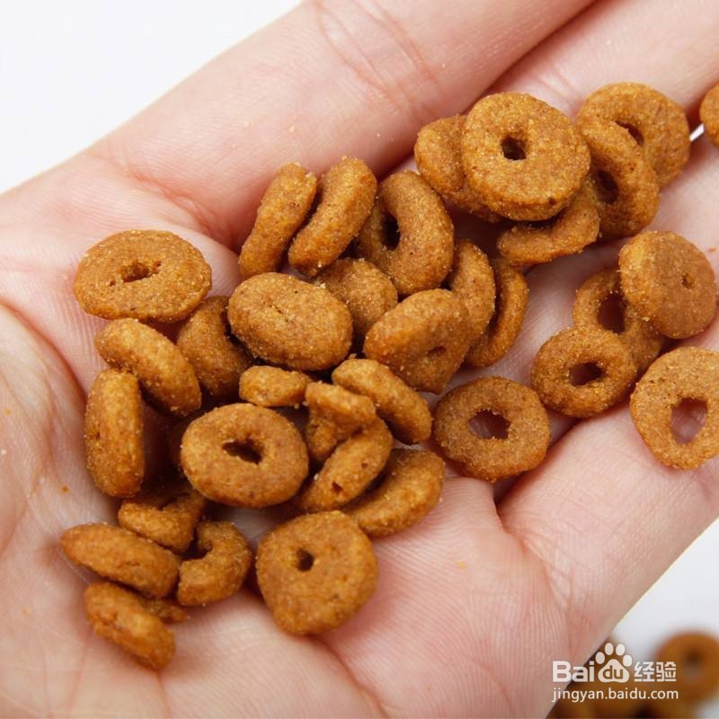 网上买猫粮要注意什么?