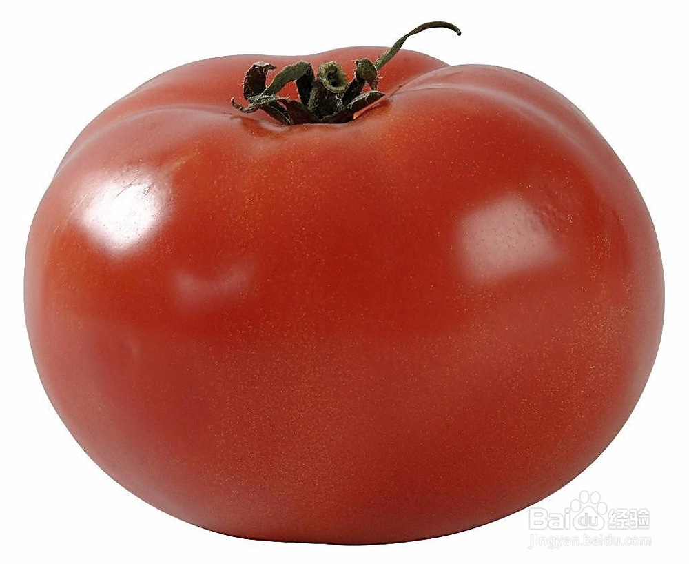 西红柿露地种植技术