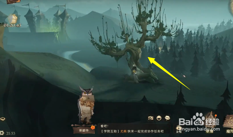 哈利波特魔法觉醒幸运值怎么获得