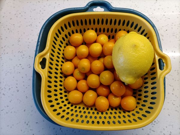 止咳润肺金桔酱