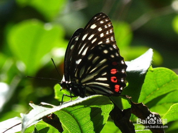 经济学中必须知道的几个名词你了解多少