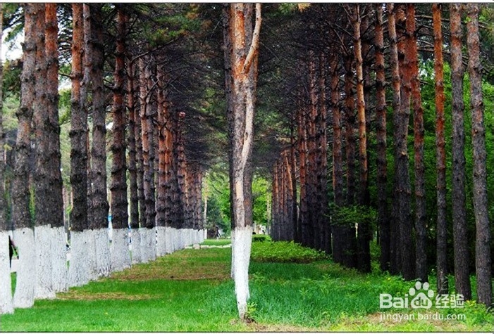 单反照相机如何照好相片？