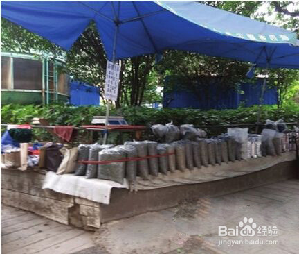 如何买到真正的好茶