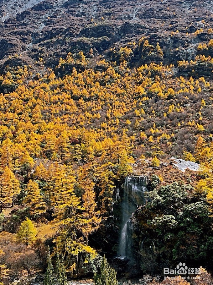 来稻城亚丁玩一般住宿有两个地方