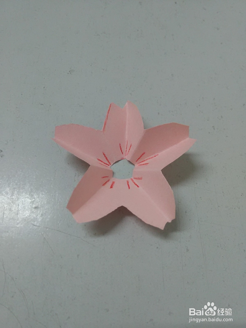 好看的樱花怎么剪