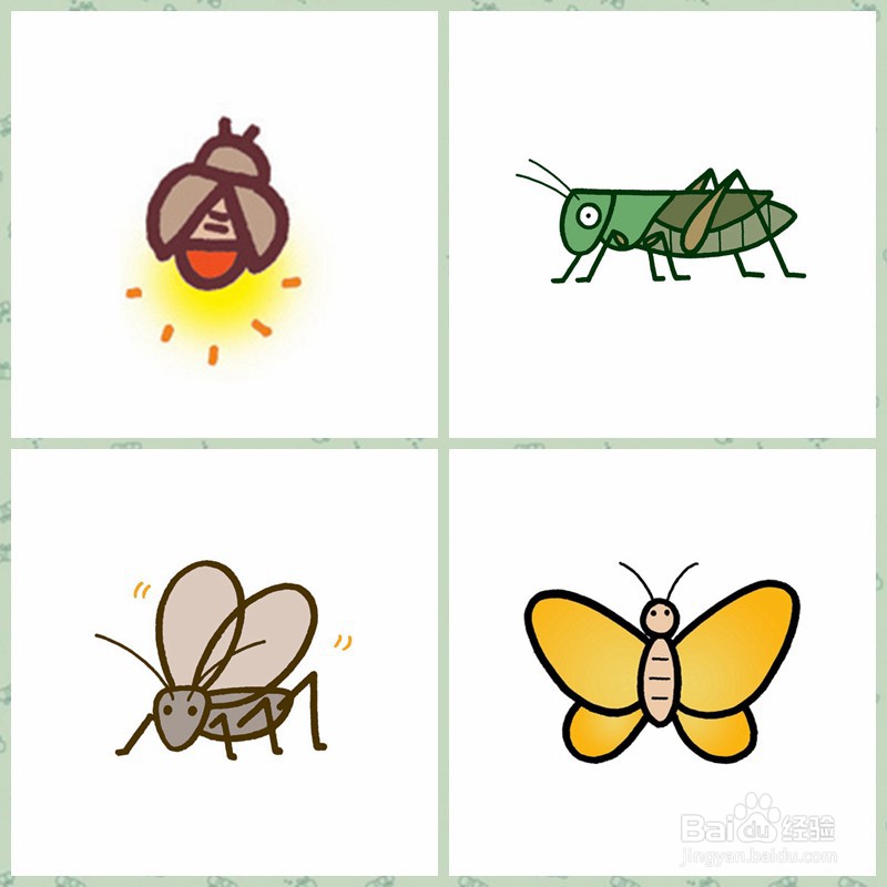 【简笔画】昆虫、鸟类、鱼类的画法