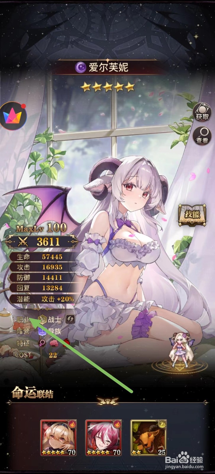 血族怎么查看爱尔芙妮的职业?