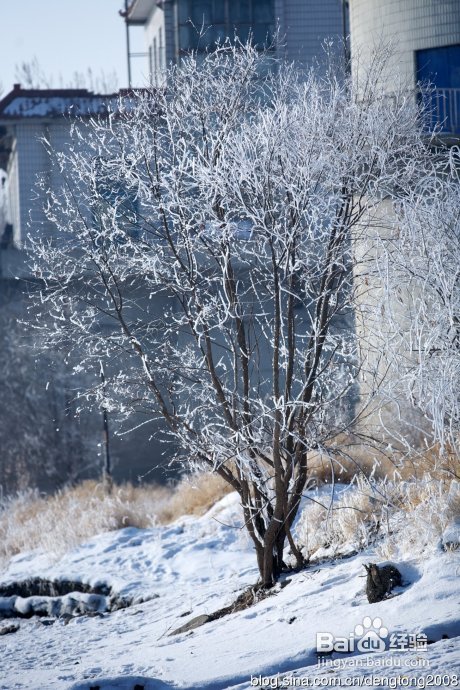 吉林两日亲子游