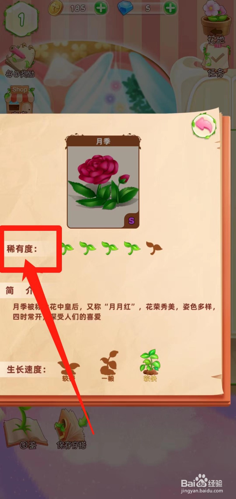 花花姑娘之魔法花园如何查看月季稀有度