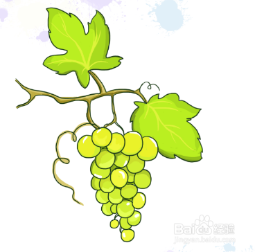 上色,绿色的葡萄酒完成啦,不是很简单呢!