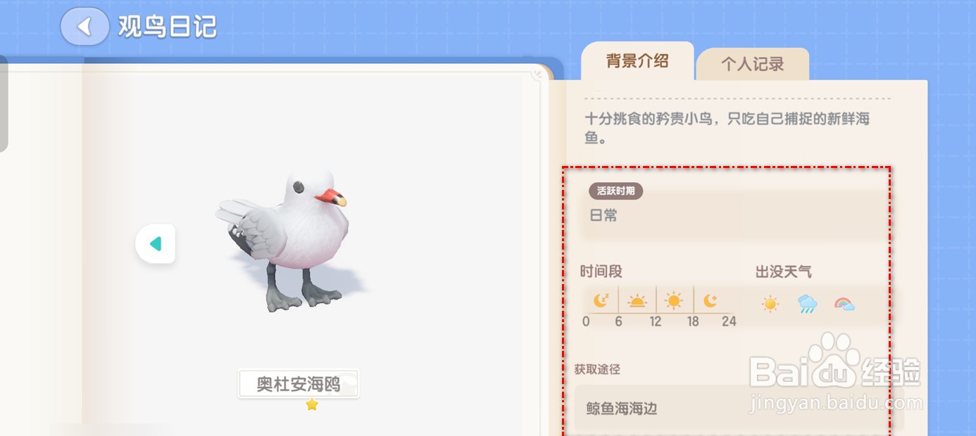 心动小镇奥杜安海鸥观鸟日志怎么获得