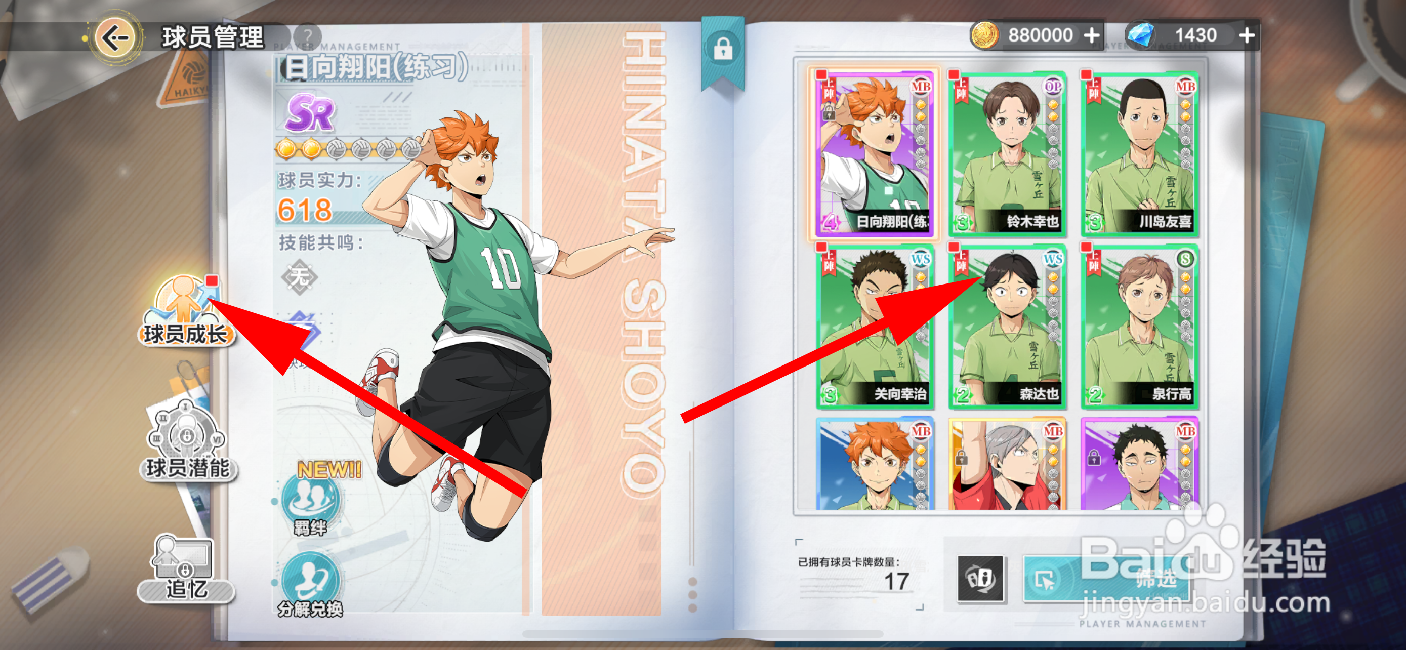 排球少年：新的征程怎么升级球员