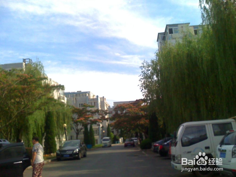 怎样告诉孩子什么是天然的氧吧--13