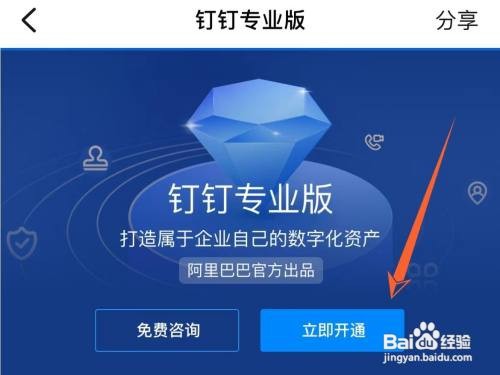 怎样获得钉钉专业版