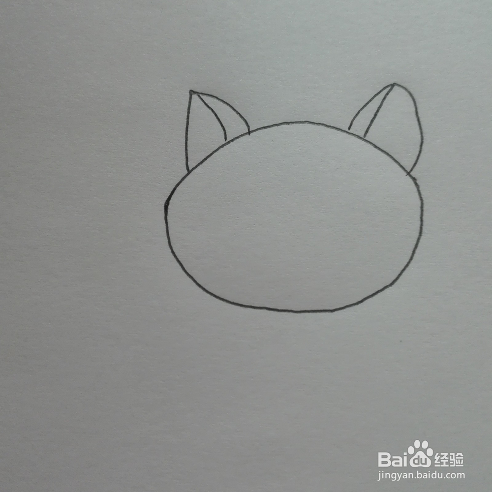 简笔画--小猫咪