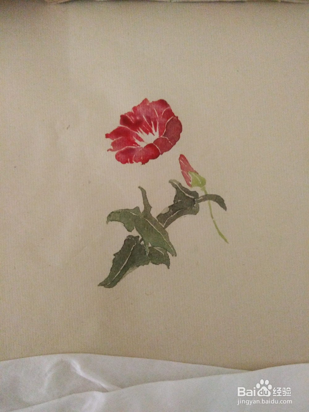 如何用没骨法画缠枝牡丹