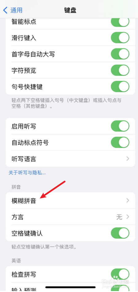 苹果手机中模糊拼音如何打开