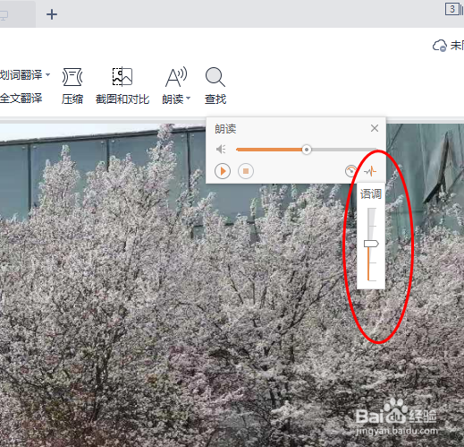 WPS PDF怎样调整朗读功能的语调