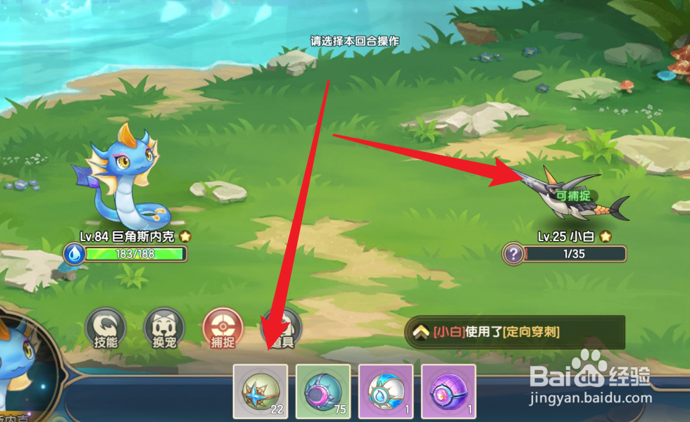 西普大陆怎么捕捉小白