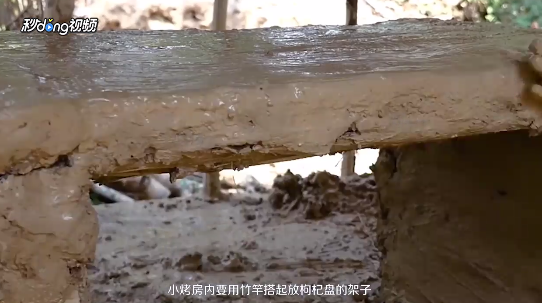 中宁枸杞的保存方法