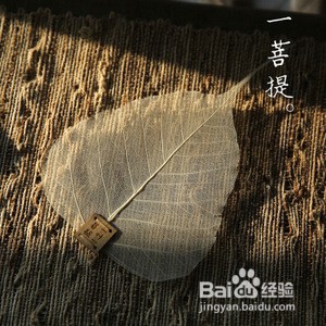 茶叶的十种用法