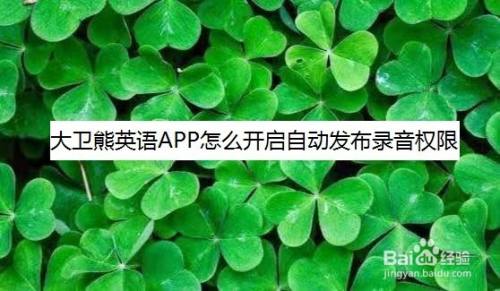 大卫熊英语app怎么开启自动发布录音权限 百度经验 大卫熊英语app怎么开启自动发布录音权限 百度经验