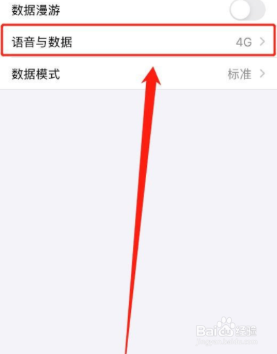 iphone12怎么关5g