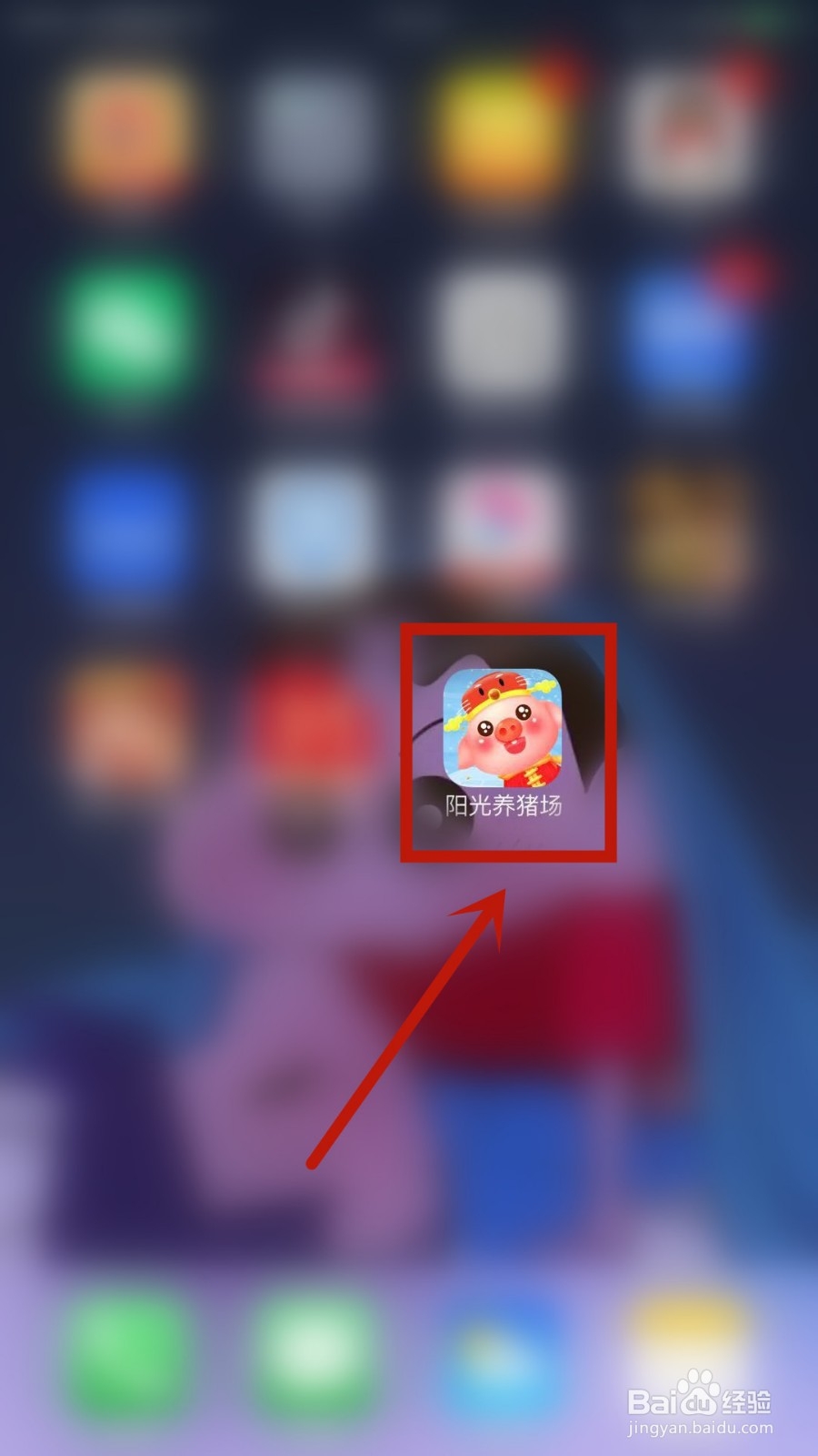 阳光养猪场没有邀请码怎么办