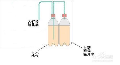 养鱼缸水草二氧化碳如何自制 百度经验