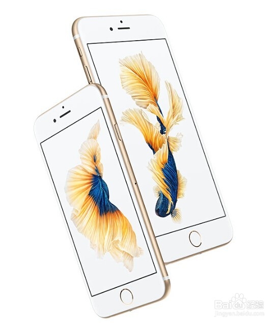 如何识别新买iphone6s手机不是iphone6改装的