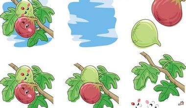 如何繁殖无花果,超级简单,人人能学都会